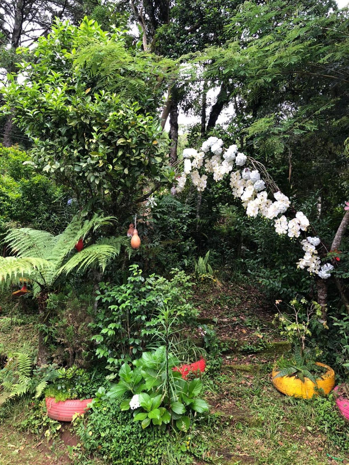 Recanto Familia Weiss Gramado Ngoại thất bức ảnh